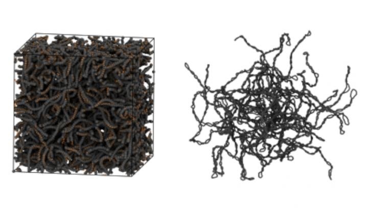 “Topologically tunable” DNA-based material has potential applications in drug delivery, tissue regeneration