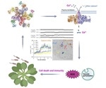 Study analyzes how resistance proteins defend plants from pathogens