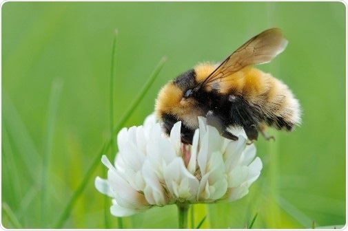 Broader use of gene reserves helps conserve endangered species