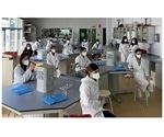 Microorganisms isolated from soil samples could help identify potential new antibiotics