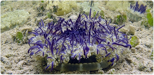 Environmental DNA helps track down species on the move