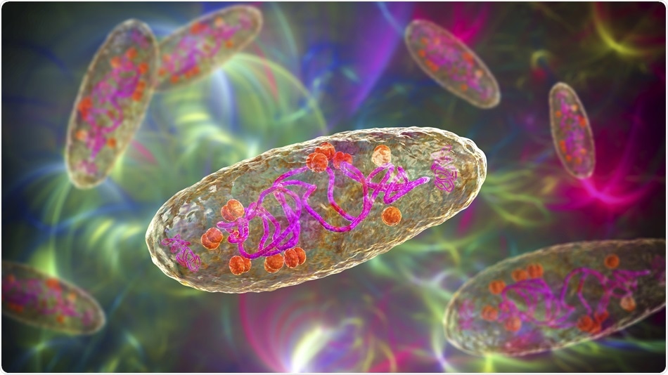 Study shows that Bubonic Plague had a long-term impact on immune gene expression