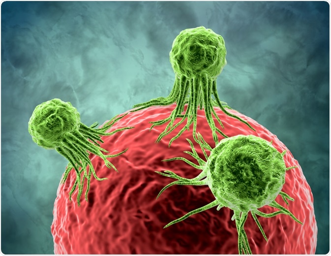 Cancer Cells Cancer Cells