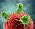 Targeting Cancer Cells using HSP90 Inhibitors
