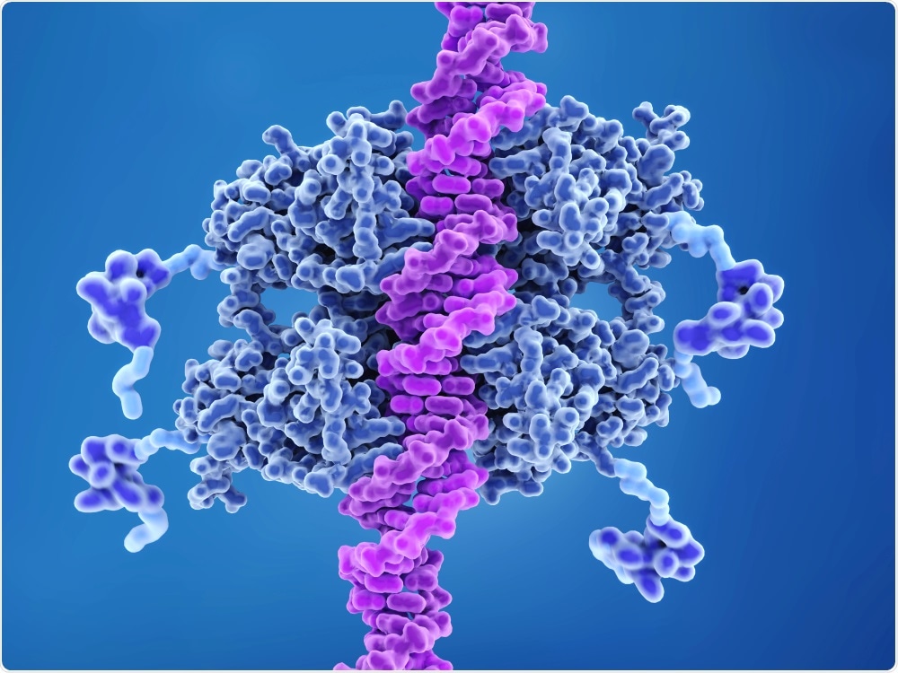 p53 tumor suppressor gene p53 tumor suppressor gene