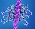 Study shows that inactivation of BRG1 leads to high genetic instability