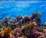 Wellbeing in an Era of Global Change: The Implications of Ocean Acidification on Food Production and How it Links to Human Wellbeing