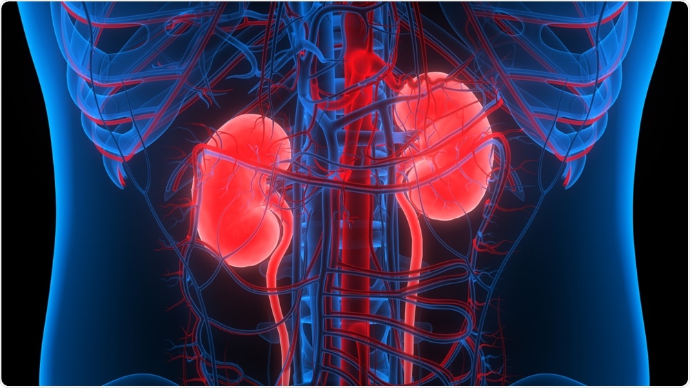 Kidneys Kidneys