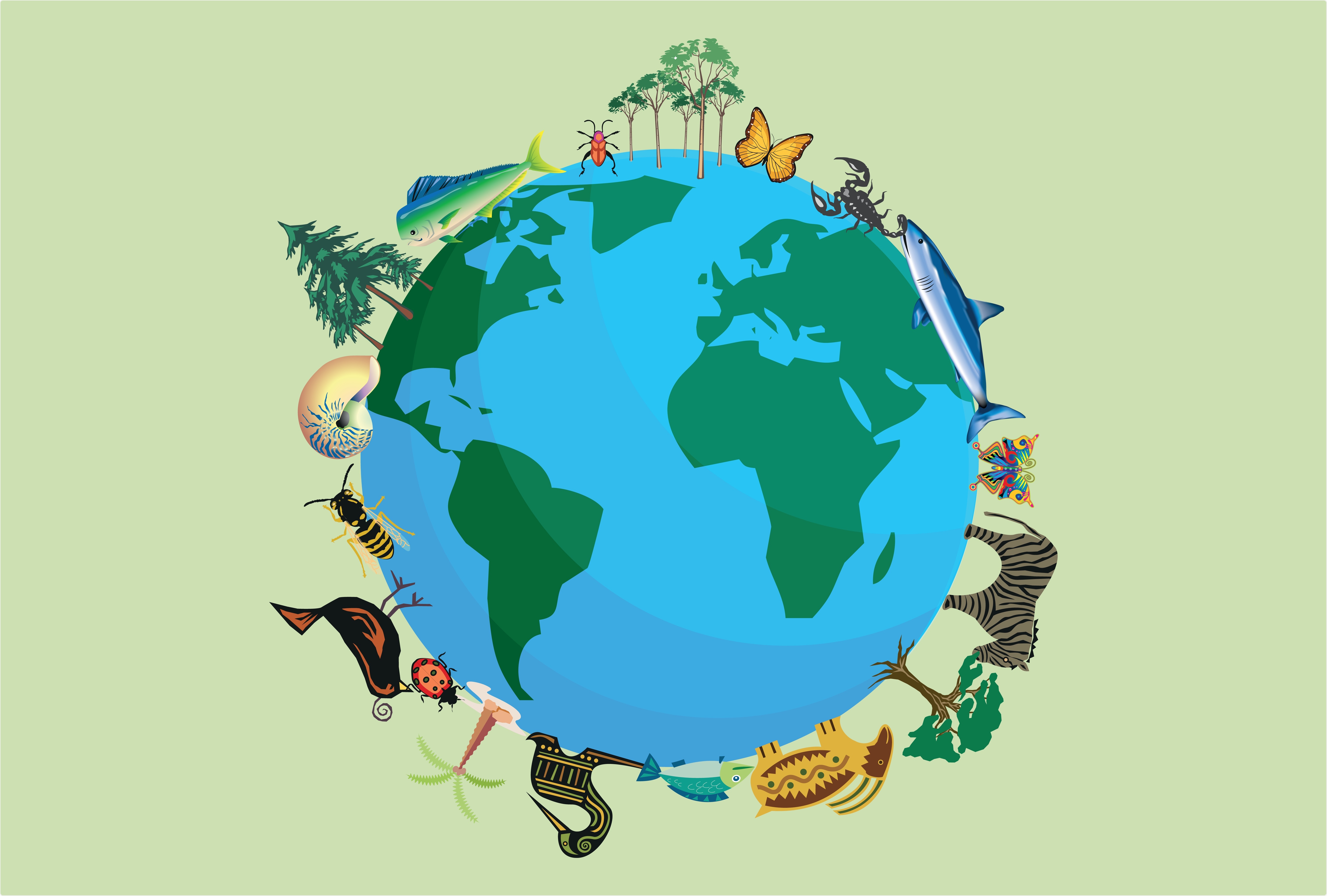 Biodiversity Concept Biodiversity Concept