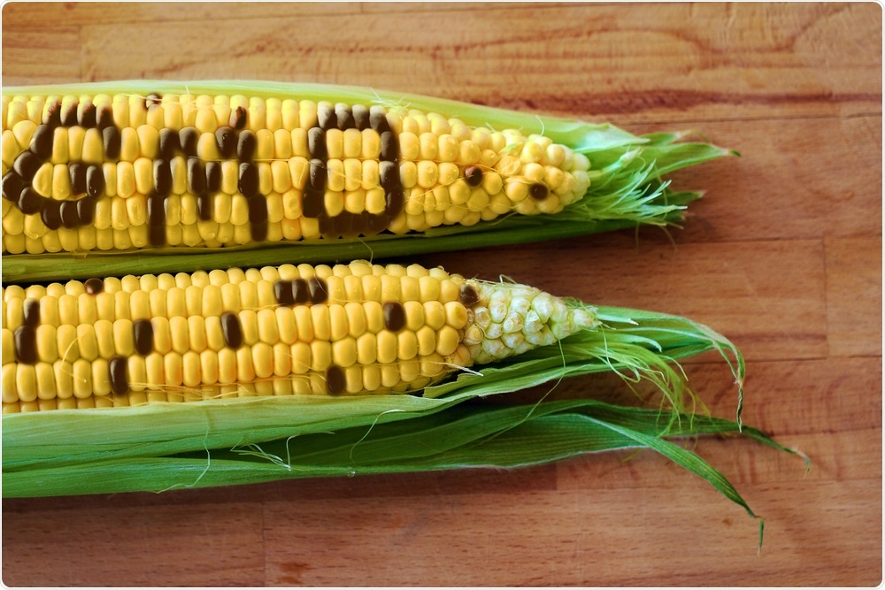 Genetically Modified Food Genetically Modified Food