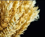 Novel screening strategy can lead to microorganism-based crop protection methods