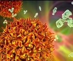 Epigenetic changes drive the fate of a B cell