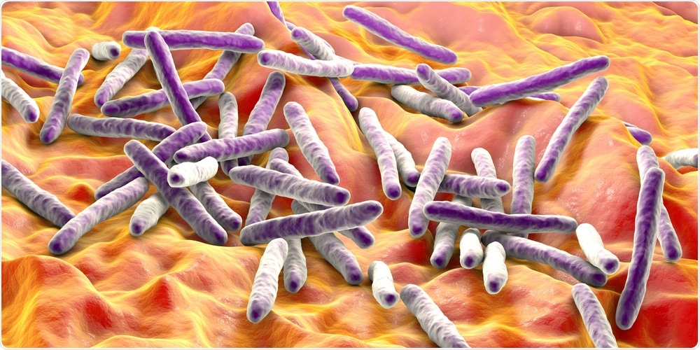 Mycobacterium tuberculosis Mycobacterium tuberculosis