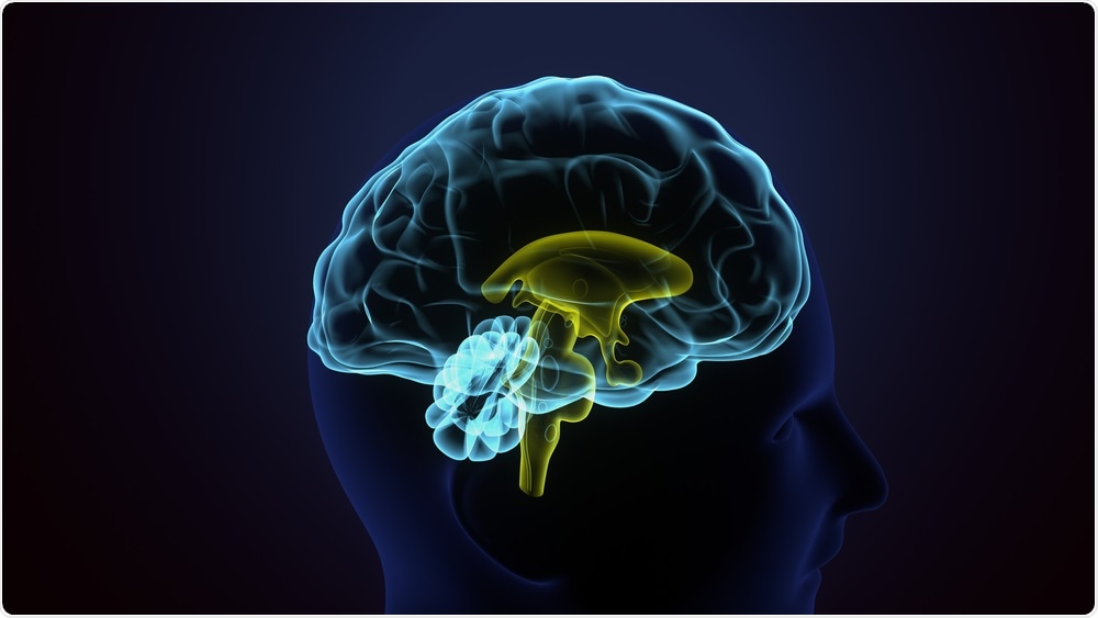 Brain Brain