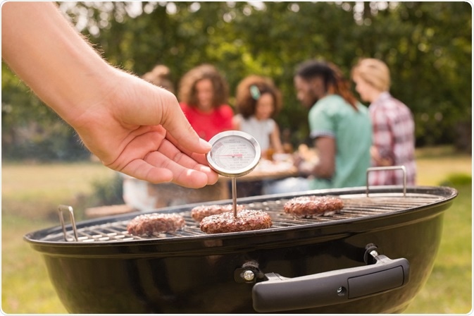 Meat Thermometer Meat Thermometer