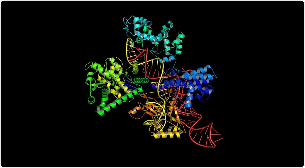 CRISPR-Cas System CRISPR-Cas System