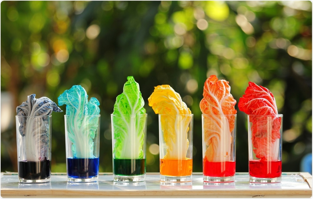 Food Dye Food Dye
