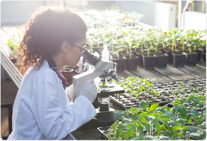 Biotechnology in Agriculture