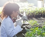 Importance of Biotechnology in Agriculture