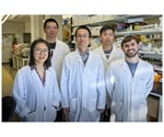 Novel protein could improve treatment outcomes after heart attacks