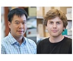 Researchers discover what fuels the immune system’s “natural killers”