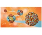 Study sheds new light on the early stages of viral evolution