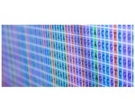 Researchers identify genetic variant discrepancies between two genome references