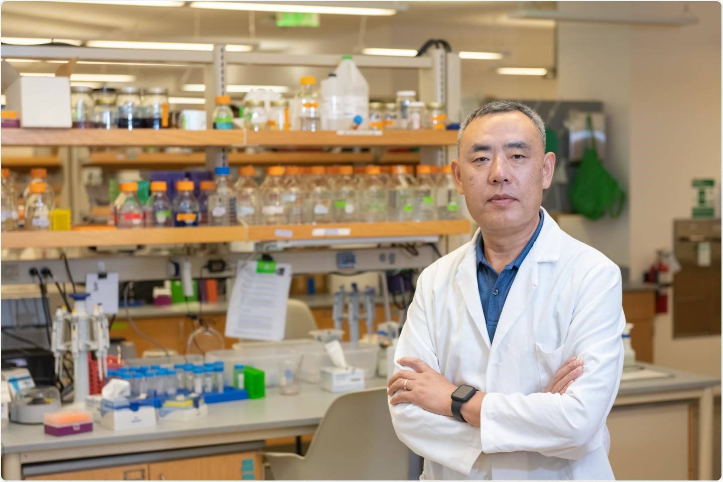 Natural killer cells target breast cancer using the body’s immune system