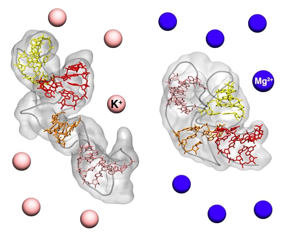 New method reveals high-resolution structure of biomolecules