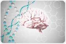 Brain study provides new insights on dementia