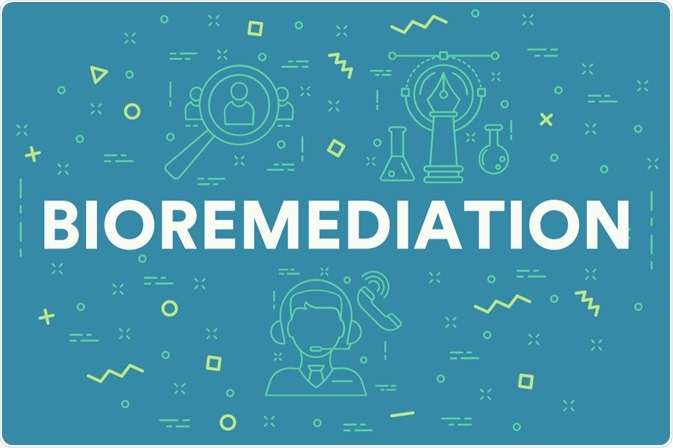 Bioremediation Bioremediation