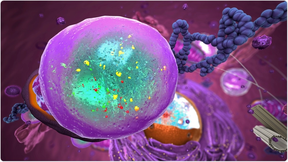 Lysosome Lysosome