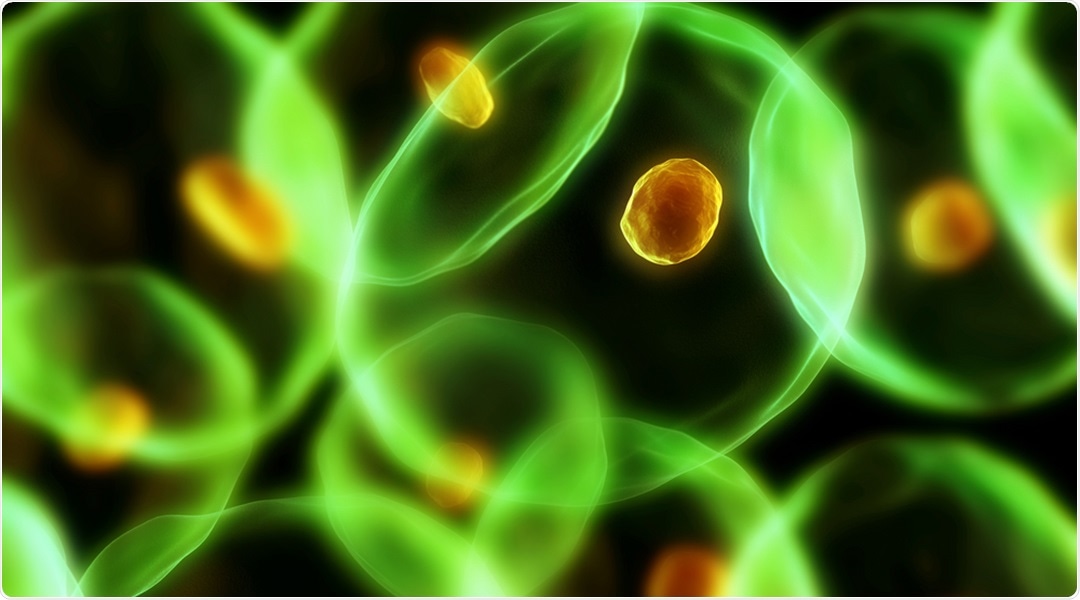 New device can examine and separate single cells based on their response to stimuli