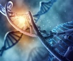 Study reveals how cells “read” synthetic ingredients added to a genetic code