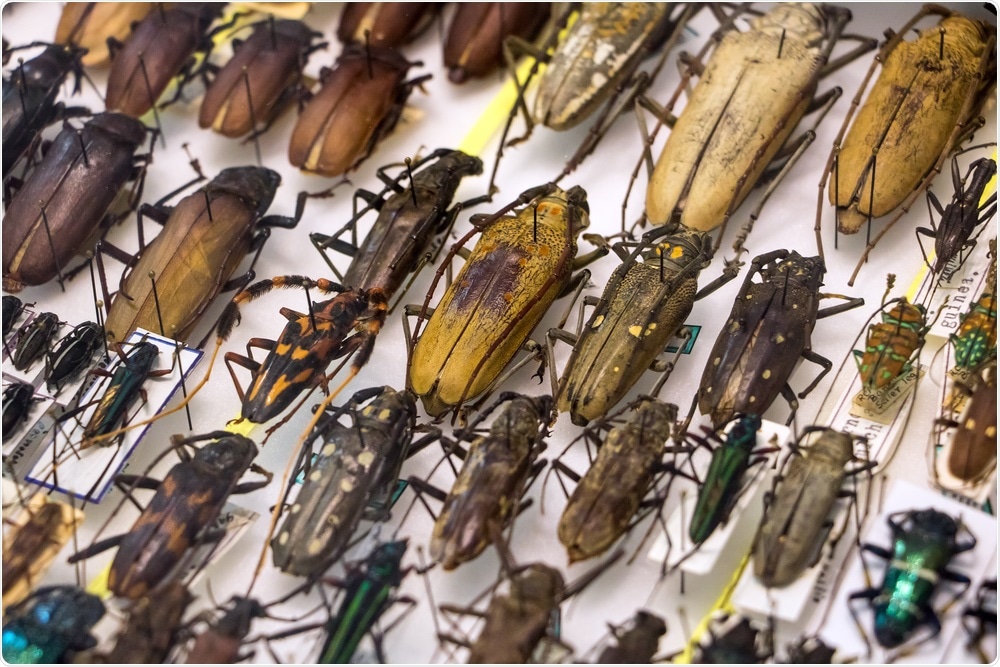 Specimens Specimens