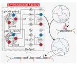 Researchers develop DNA-based switching circuits