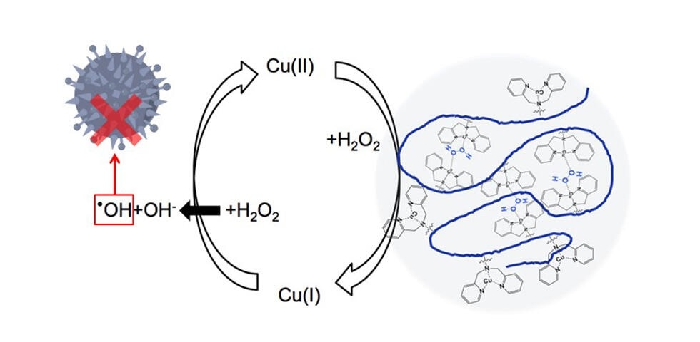 Researchers enhance antibacterial activity of hydrogen peroxide using copper-containing polymers
