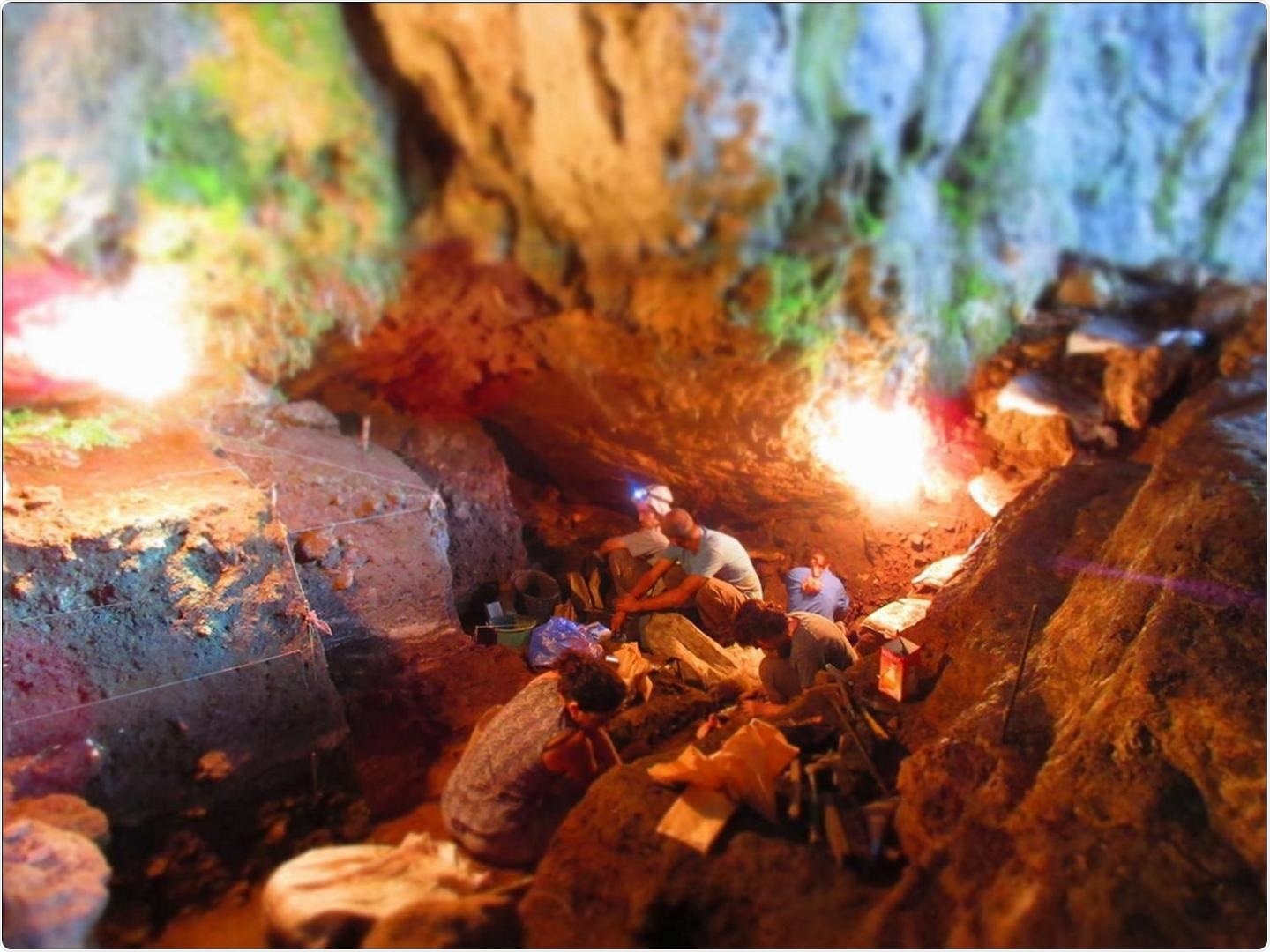 Researchers recover human environmental genome without skeletal remains