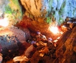 Researchers recover human environmental genome without skeletal remains