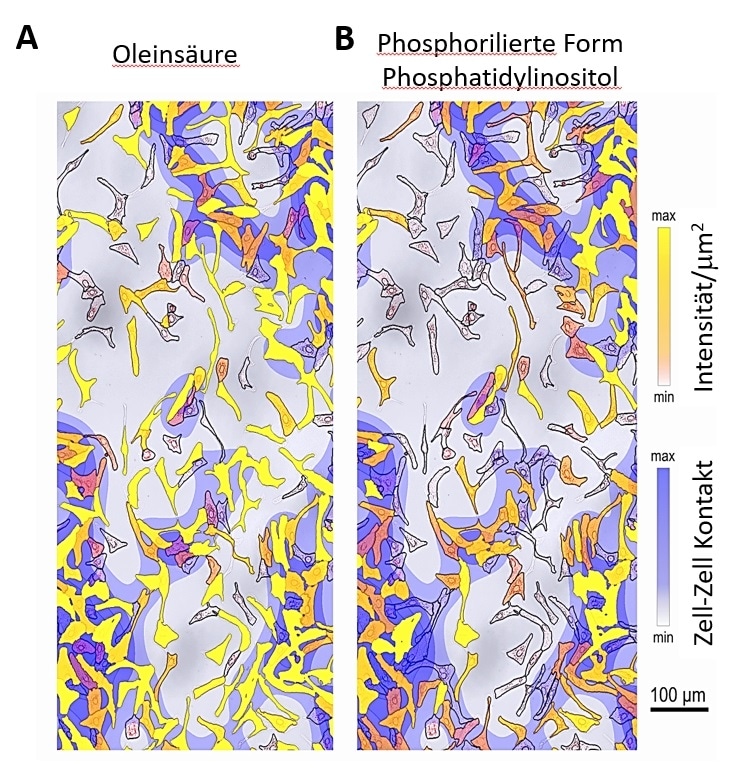New method for generating metabolic profiles of individual cells