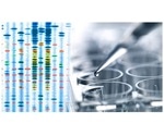 New study could help develop novel treatments for neurodegenerative diseases