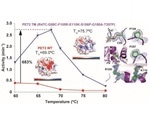 Engineered enzyme facilitates more effective plastic degradation
