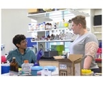 Research group analyzes methods to tackle antibiotic resistance