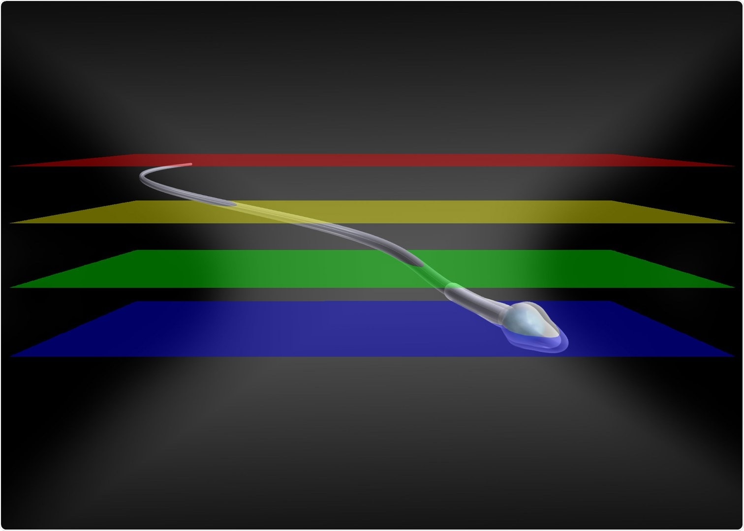 New microscopy method to observe the movement of fast biological processes in 3D