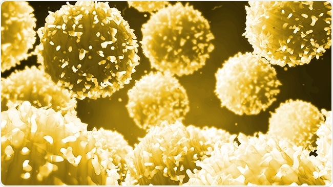 Research identifies vitamin C as a key ingredient for immune cell function