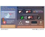 CRISPR-Cas9 system could help perform very effective target gene silencing