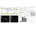 DNA logic circuits fabricated for performing extensive biomedical applications