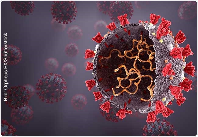 Study identifies many small molecules that bind to certain areas of the SARS-CoV-2 genome
