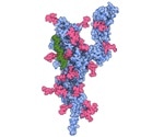 Emerging variants of COVID-19 could be treated with a new anticoagulant drug