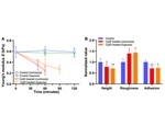 Study unravels the biomechanical, biophysical response of cancer cells to drugs